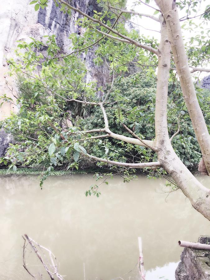 Mai'S Homestay Trang An Ninh Binh Exterior photo